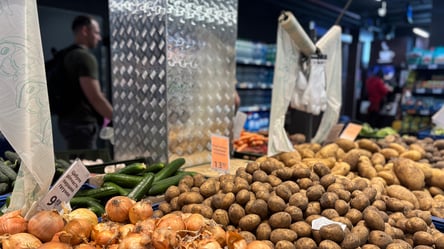 В АТБ і Сільпо вигідно знизили ціни на продукти: що суттєво подешевшало - 285x160