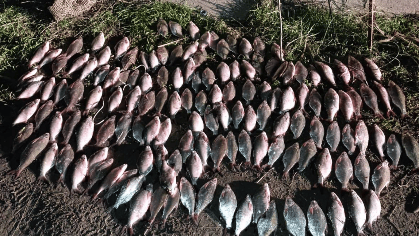 На Одещині спіймали браконьєра з телевізором — що відомо - фото 1