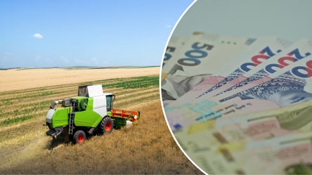 Украинским аграриям сделали важное предложение: выращивать рожь станет выгоднее - 285x160