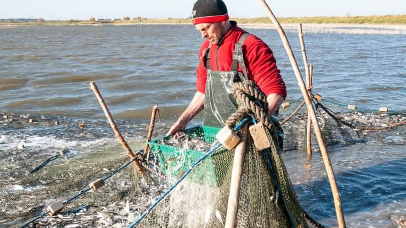 В Украине заработают новые правила вылова рыбы в Черном море