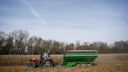 Цены на кукурузу в Украине — сколько стоит зерно в конце мая - 285x160