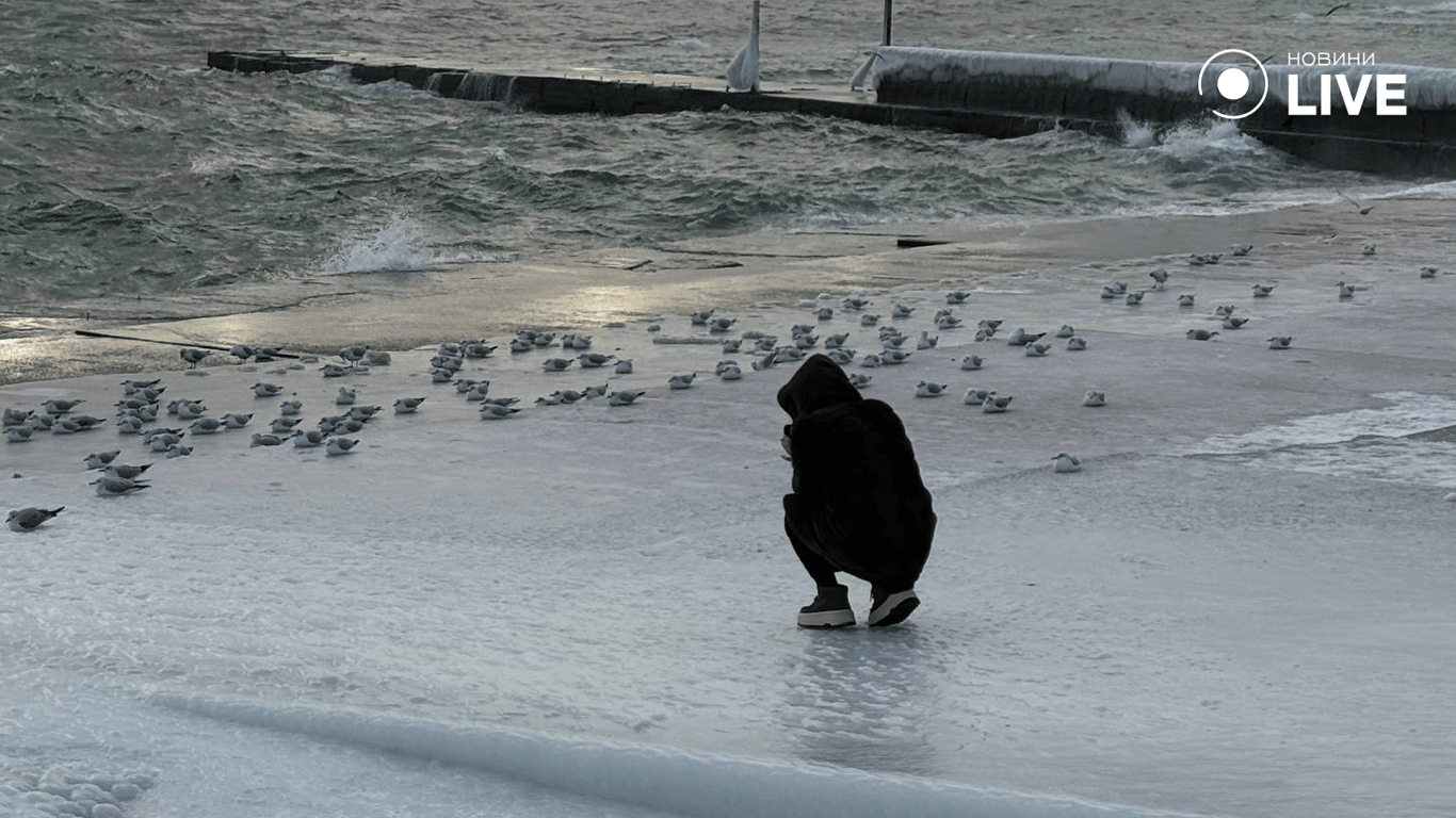 Пляж Ланжерон скувало льодом