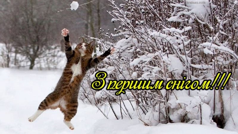 Картинка с первым снегом