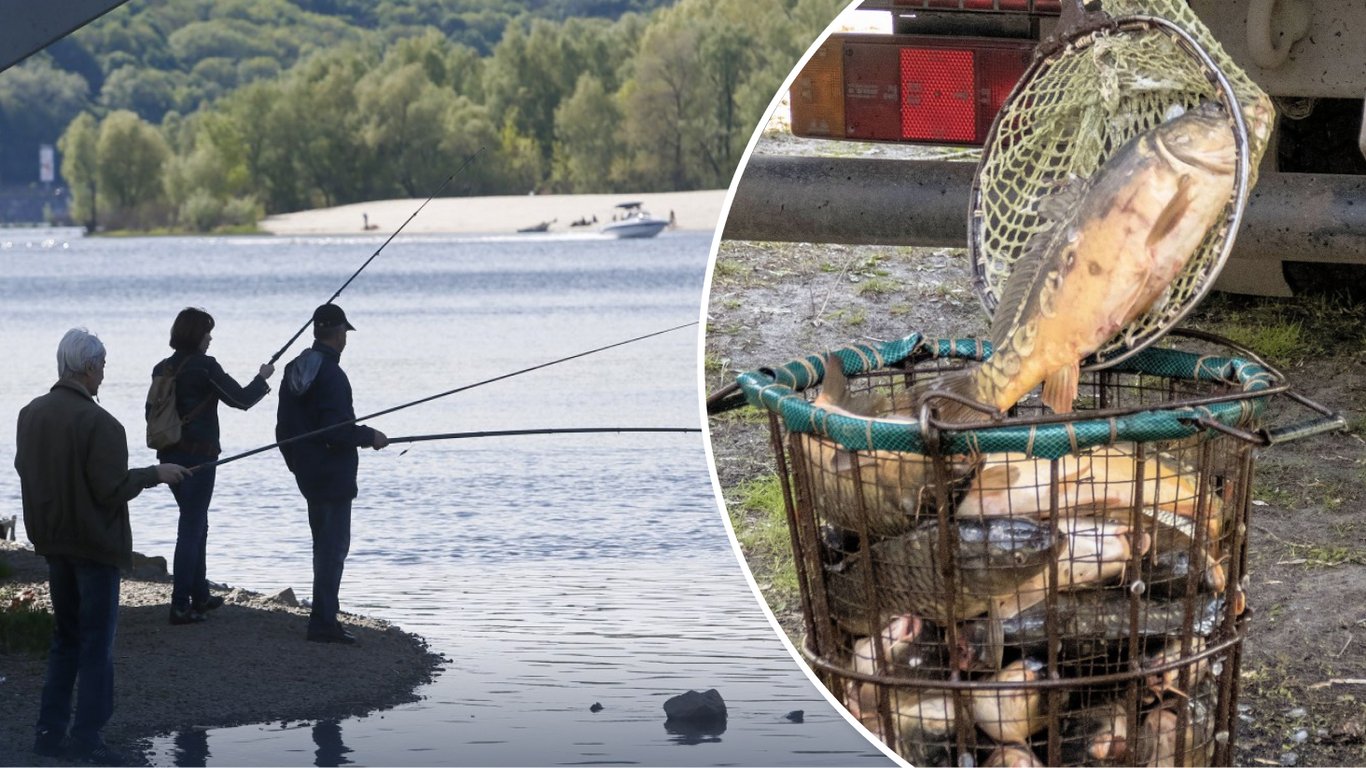 Рибалка в Україні: які 7 видів риб дозволено ловити в необмеженій кількості