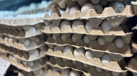 Яйця в супермаркетах — що стало з цінами одразу після Нового року - 285x160