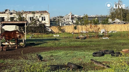 Girls cried for help from windows — eyewitness accounts of the night shelling in Odesa region - 290x166