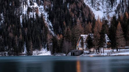 Рыбалка на частном участке — можно ли сделать пруд возле дома - 285x160