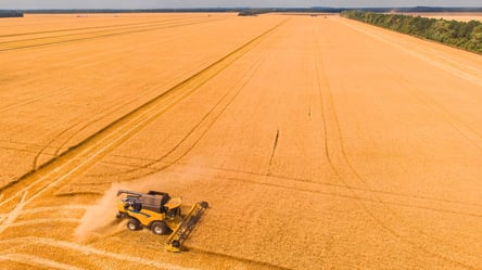 Цены на зерно в Украине — сколько стоит пшеница в апреле - 285x160