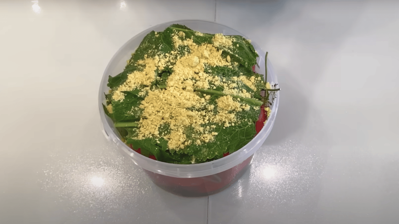 рецепт квашених помідорів з гірчицею