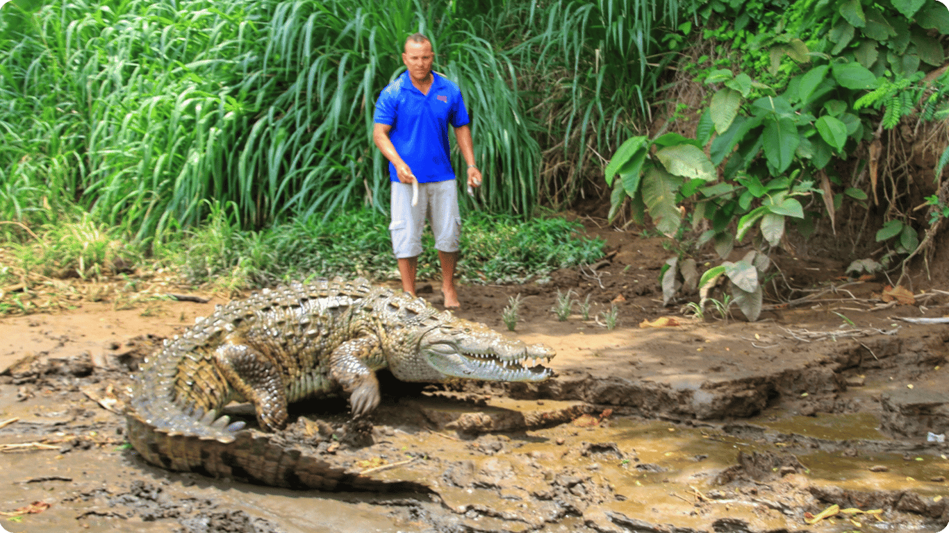 В Индонезии из-за нападения крокодилов погибли 450 человек — почему это нельзя остановить
