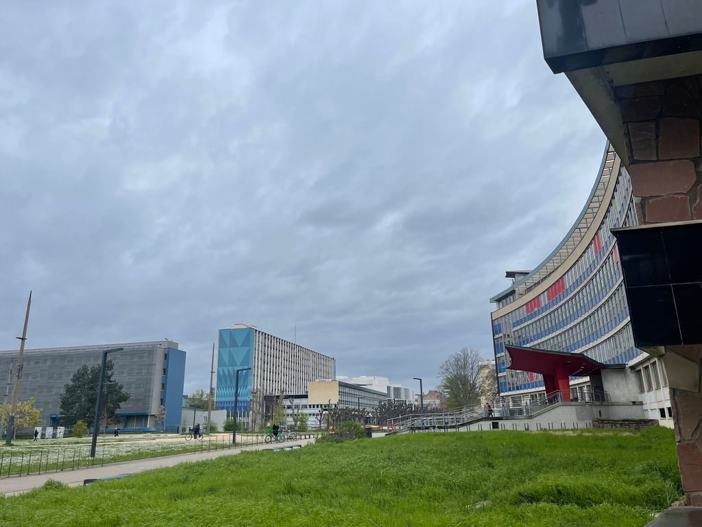 Образование во Франции — специфика системы и возможности для украинцев - фото 1