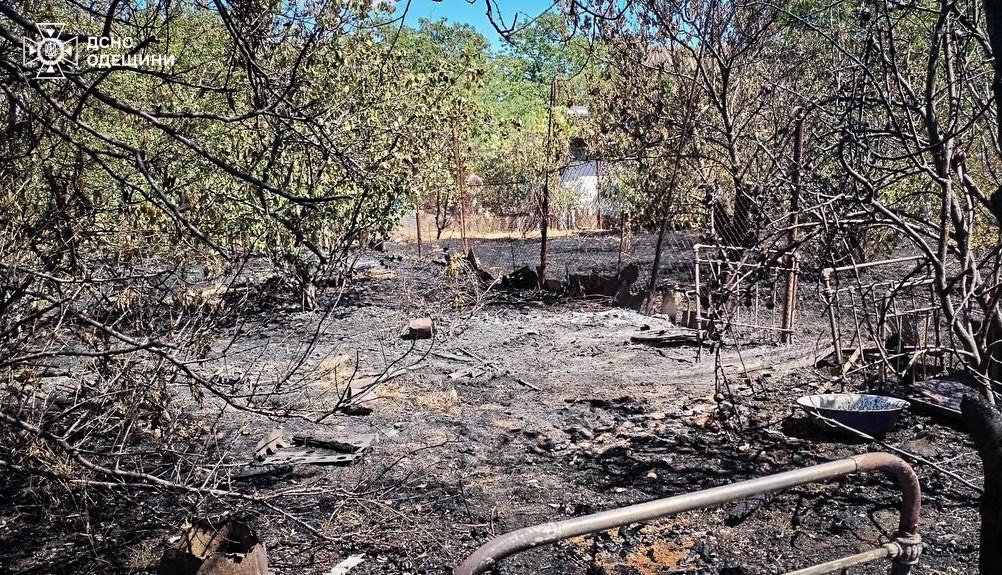 Пожежа на Одещині — горіли закинуті споруди та суха трава - фото 2