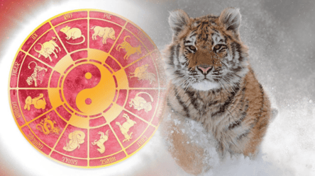 Східний гороскоп для Тигра на 2026 рік — яких сюрпризів чекати - 290x160