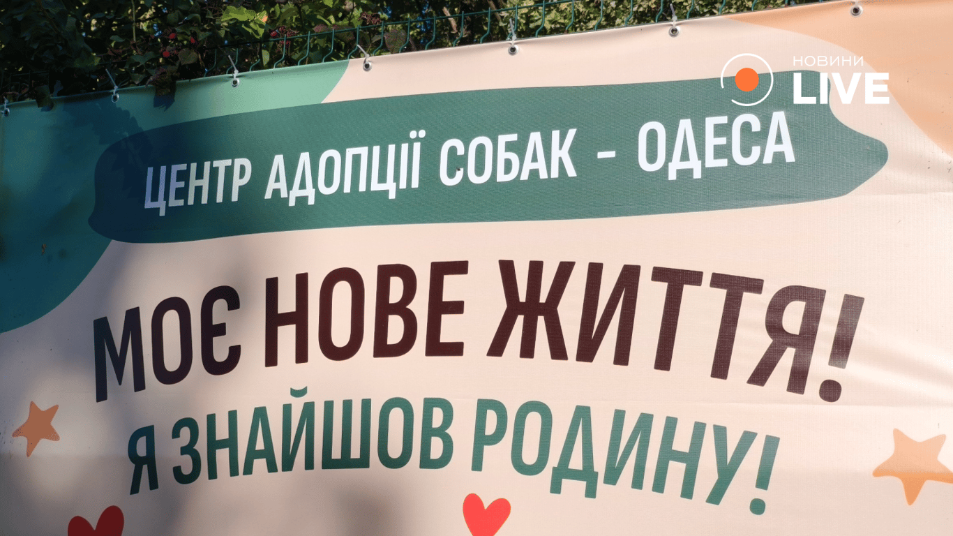 Баннер Центру адопції собак "Animal SOS Odessa"