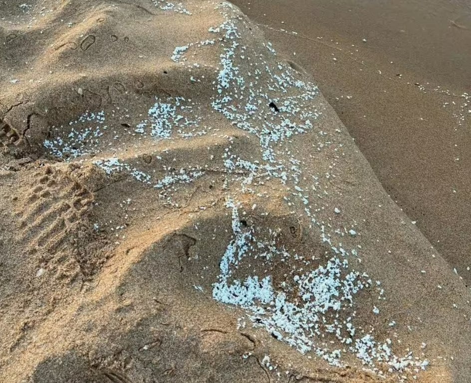 Популярний курорт Іспанії закрив пляжі через загадкову речовину - фото 1