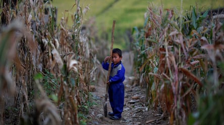 Влада Північної Кореї не приймає гуманітарну допомогу попри смертність населення від голоду - 285x160