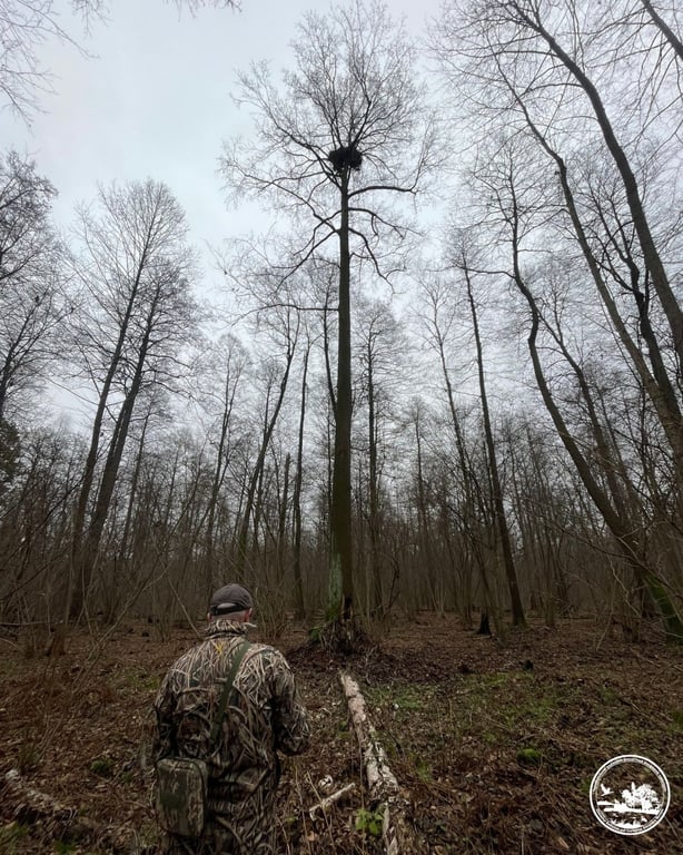 Птахи в Чорнобилі