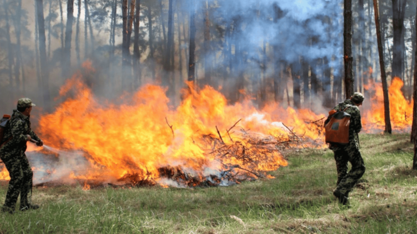 В Киевской области ожидается чрезвычайно высокий уровень пожарной опасности