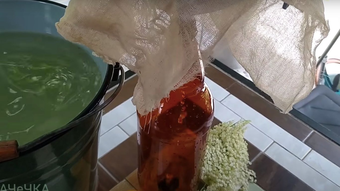 полезный рецепт кваса из бузины