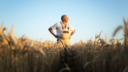 Українці втрачають гектари — як шахраї діють на ринку землі - 285x160