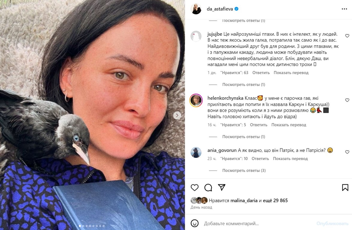 Астаф'єва прихистила пташку