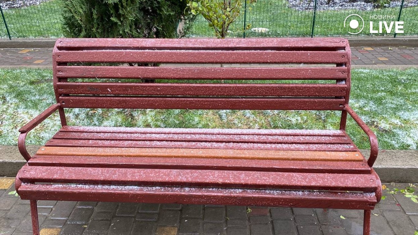 Поваленные деревья и первый снег — в Одессе бушует непогода