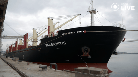 В порту Черноморска загружается 21 судно — что известно об экспорте - 285x160