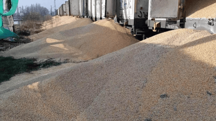 Польща утилізує 30 тонн висипаного її фермерами українського зерна - 285x160