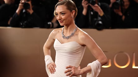 Кухня Аманди Сейфрід — чим заворожила дизайнерів (фото) - 285x160