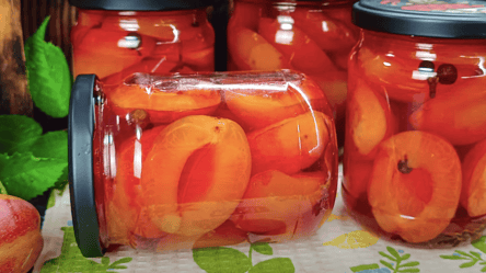 Маринованные сливы на зиму — идеальная закуска к мясу - 285x160