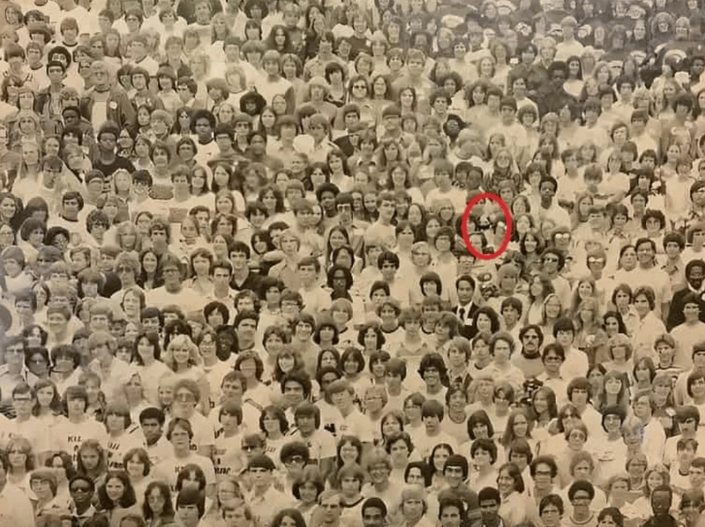 Найденное лицо панды в оптической иллюзии