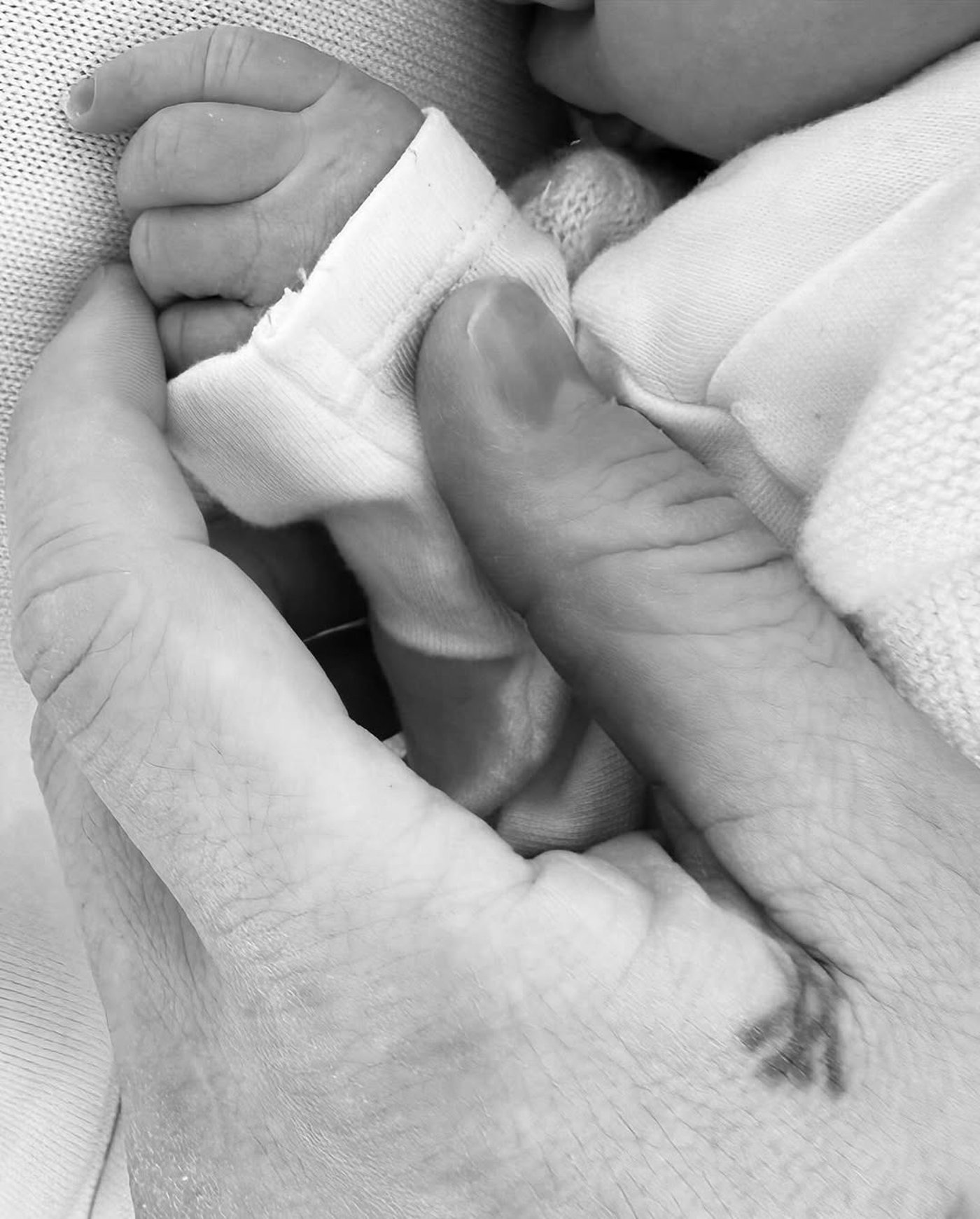 Ед Вествік став батьком - фото