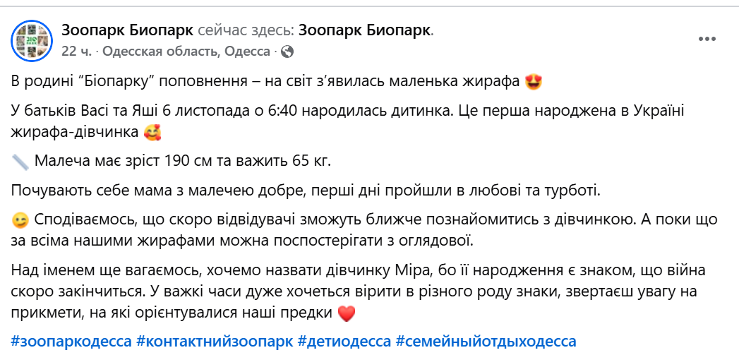 В Одеському "Біопарку" народилася перша в Україні жирафа-дівчинка - фото 1