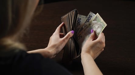 Грошова допомога від ФРН: кому з українців гарантують 19 000 грн - 290x160