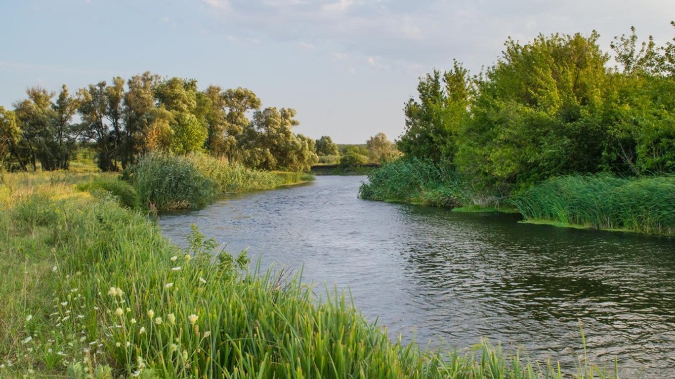 На Николаевщине в водоемах обнаружена кишечная палочка