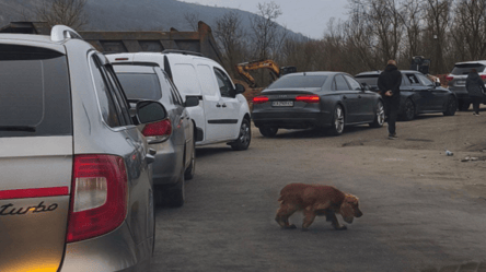 Зруйнований міст на Одещині — де затори і як об’їхати Маяки - 290x166