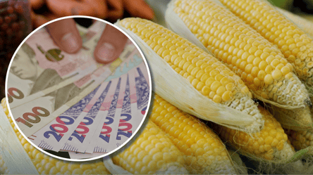 Тонна фуражной кукурузы стоит более 9 000 грн: что дальше будет с ценами - 285x160