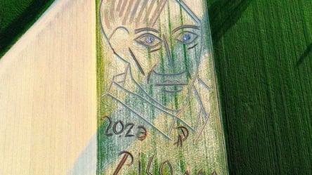 Найбільший у світі портрет Пабло Пікассо створив італієць за допомогою трактора - 285x160