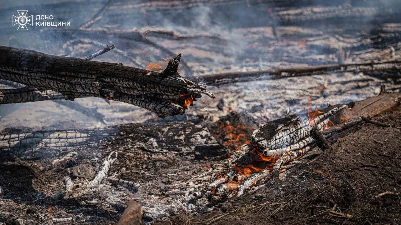Пожежа в Чорнобильській зоні відчуження