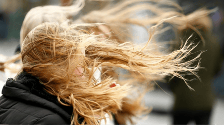 Ветер будет сбивать с ног — Диденко сказала, где будет опасно - 285x160