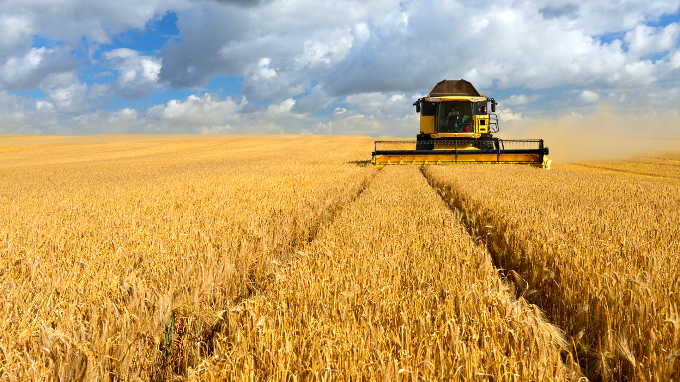 Цены на зерновые в Украине по состоянию на 25 августа 2023