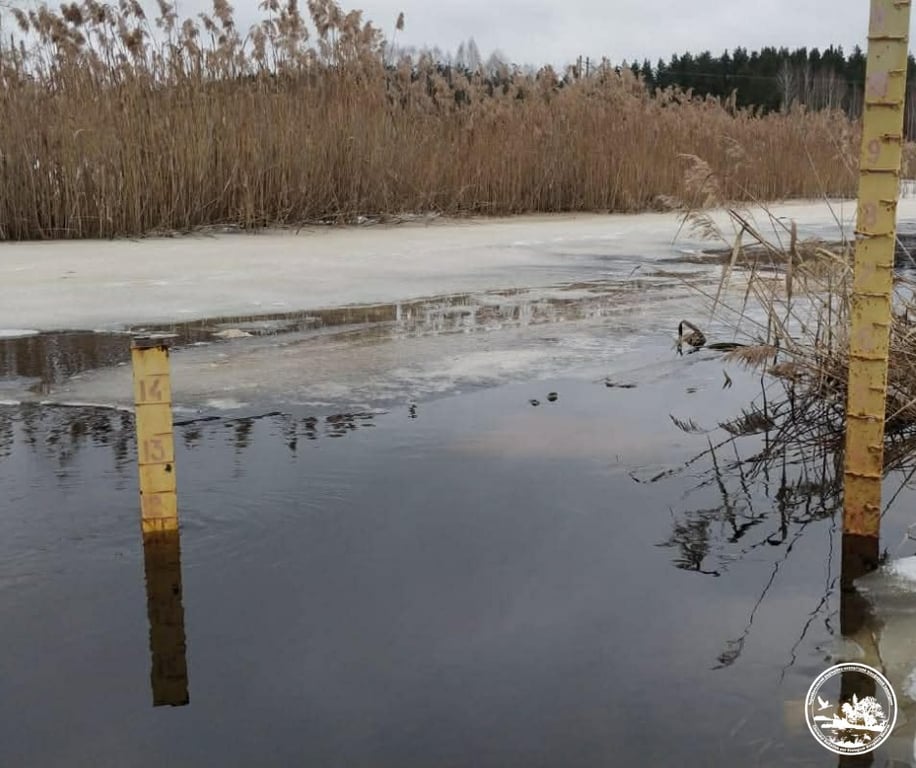 Водопілля 2026 у Чорнобилі