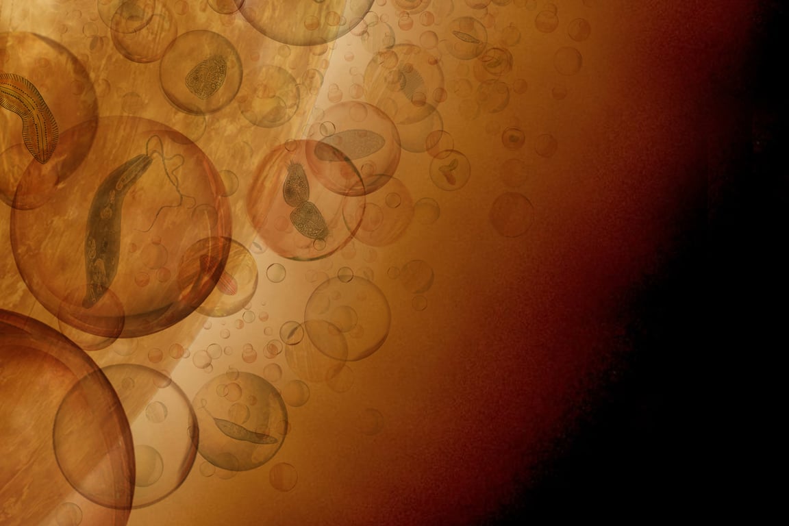 Ученые официально заявили о доказательствах существования жизни на Венере - что нашли