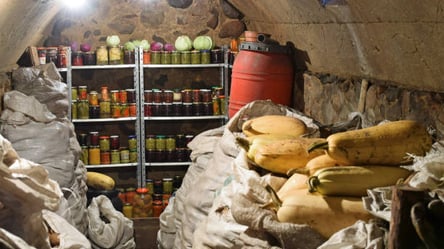 Грибок і волога у підвалі — як позбутися раз і назавжди - 285x160