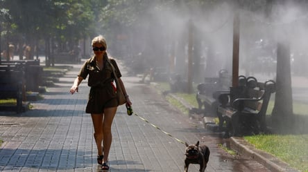 Погода в Україні: синоптик Діденко попередила про спеку до +32 °C та грози - 290x160