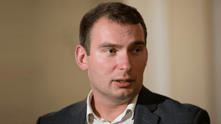 Тайное голосование не удастся — Железняк об онлайн-выборах - 290x160