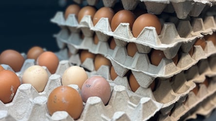 Нові ціни на курячі яйця — що відбувається в АТБ та інших супермаркетах - 285x160