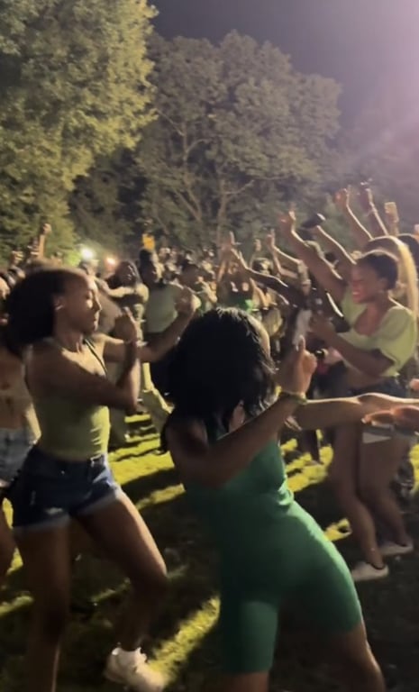 Донька Анджеліни Джолі та Бреда Пітта запалила на студентській вечірці - фото 1