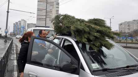 Штраф через ялинку — яке покарання загрожує українцям у 2025 році - 285x160