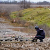 174 тис. кв. км: Безкаравайний назвав забруднення України викликом для світу - 80x80